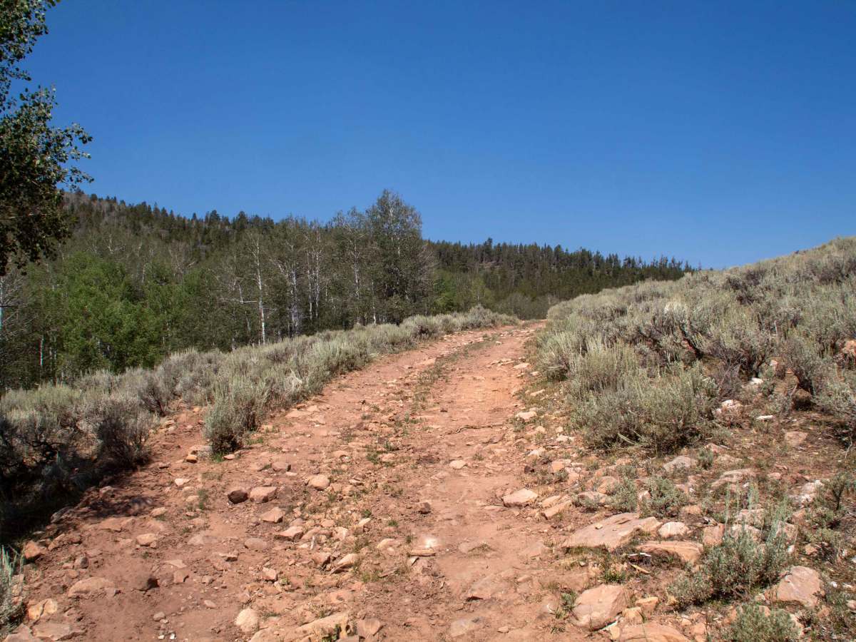 77 Flat Road - FS 10275 photo 5