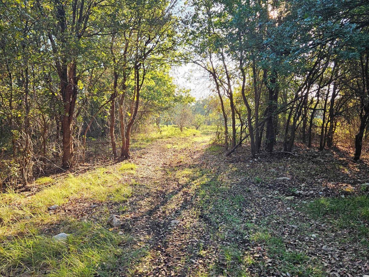 Iron Hoof trail photo