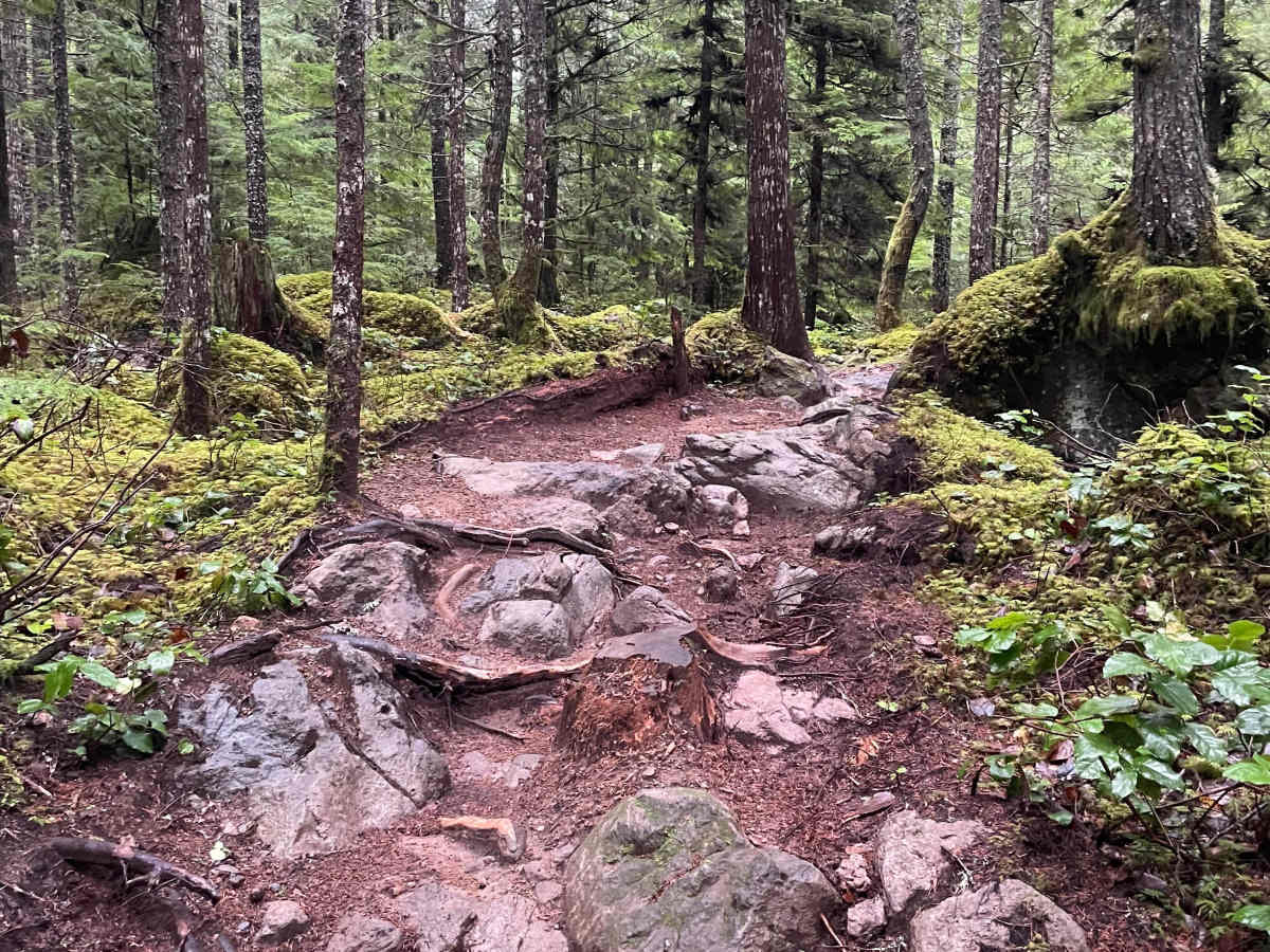 Wray's Way trail photo