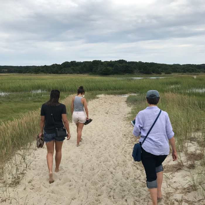 Near Wellfleet Audobon Loop