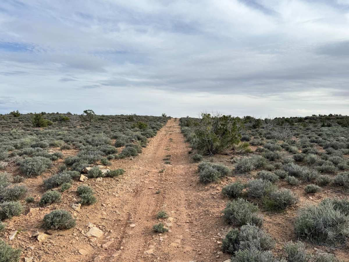 Cisco Claymore Hills photo 5
