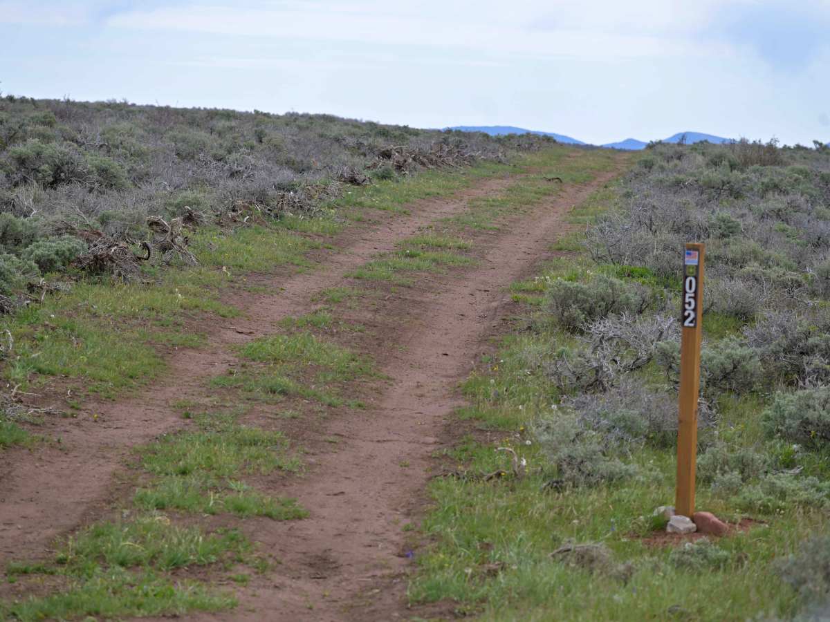 Little Brush Creek - FS 10052 photo 2