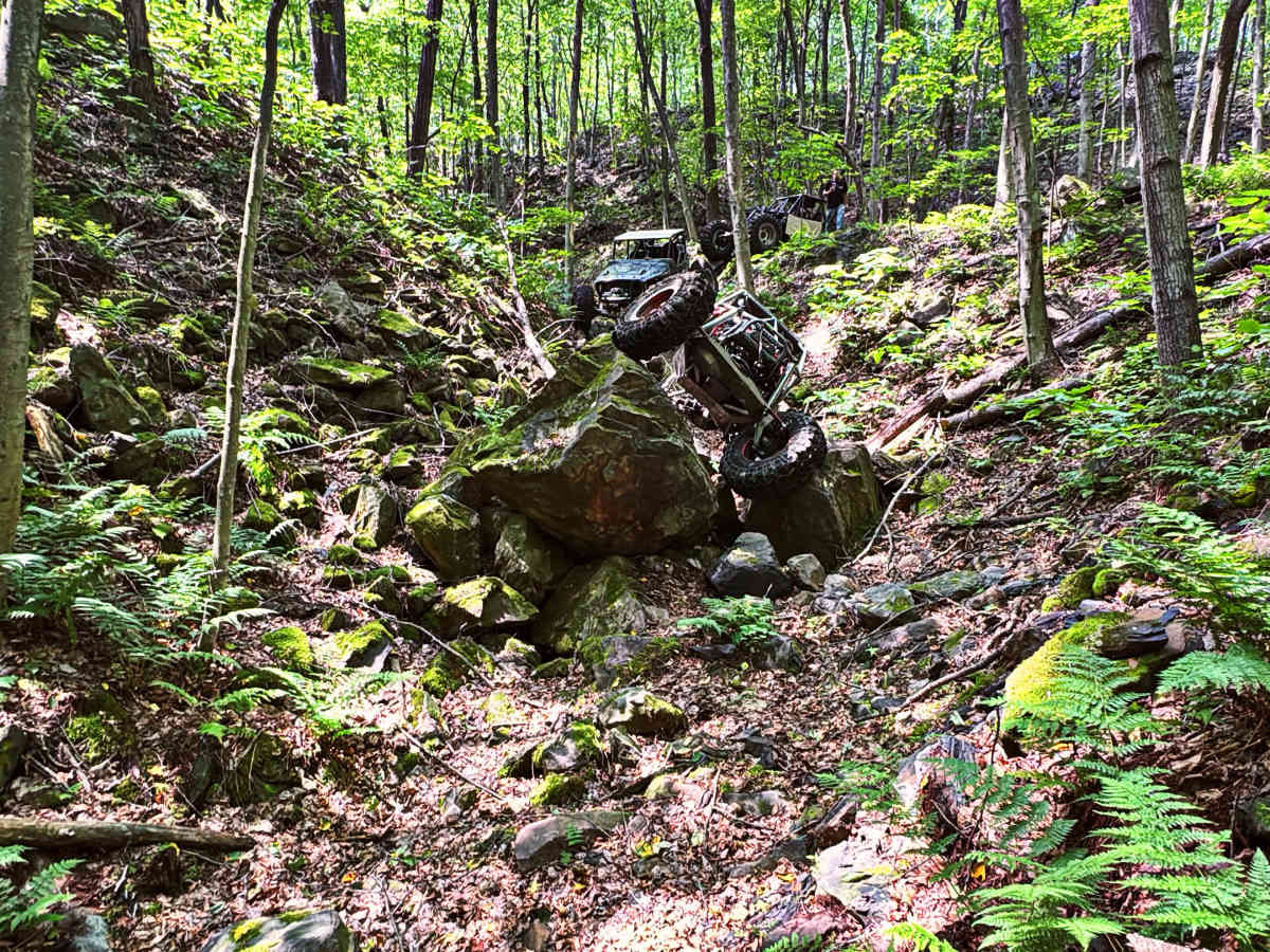 Evergreen Terrace trail photo