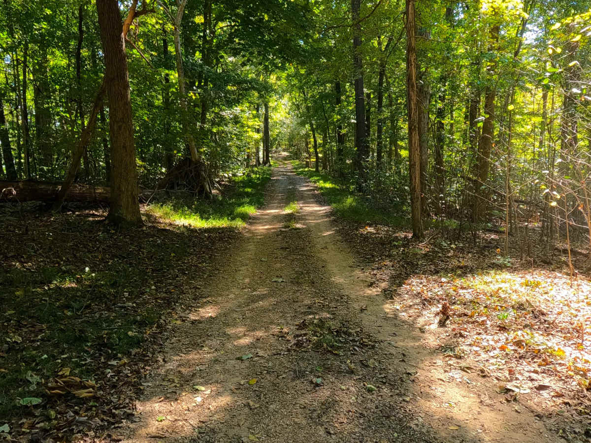 Spring Road - FS 155 photo 6