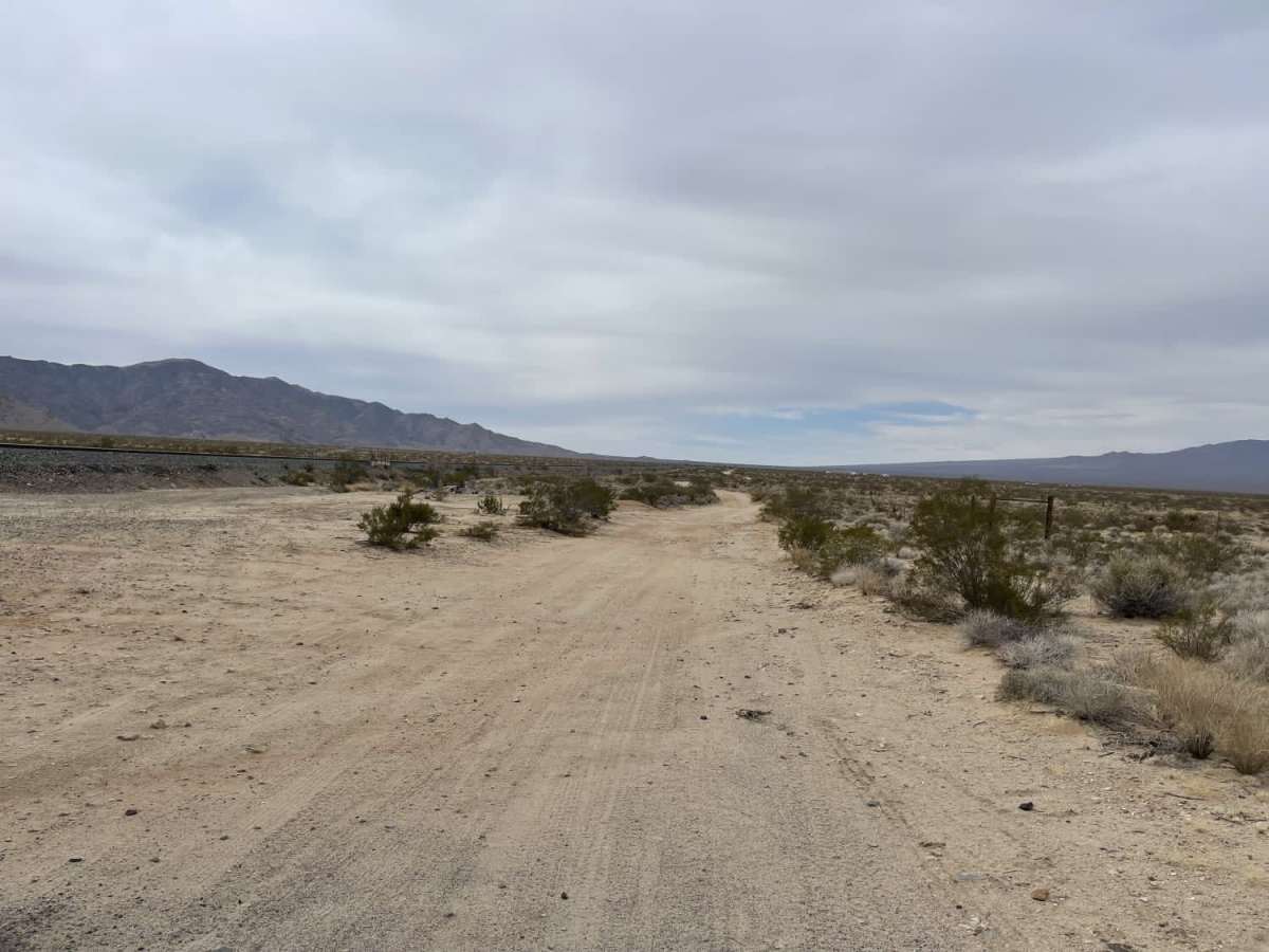 Ivanpah Cima Road photo 4
