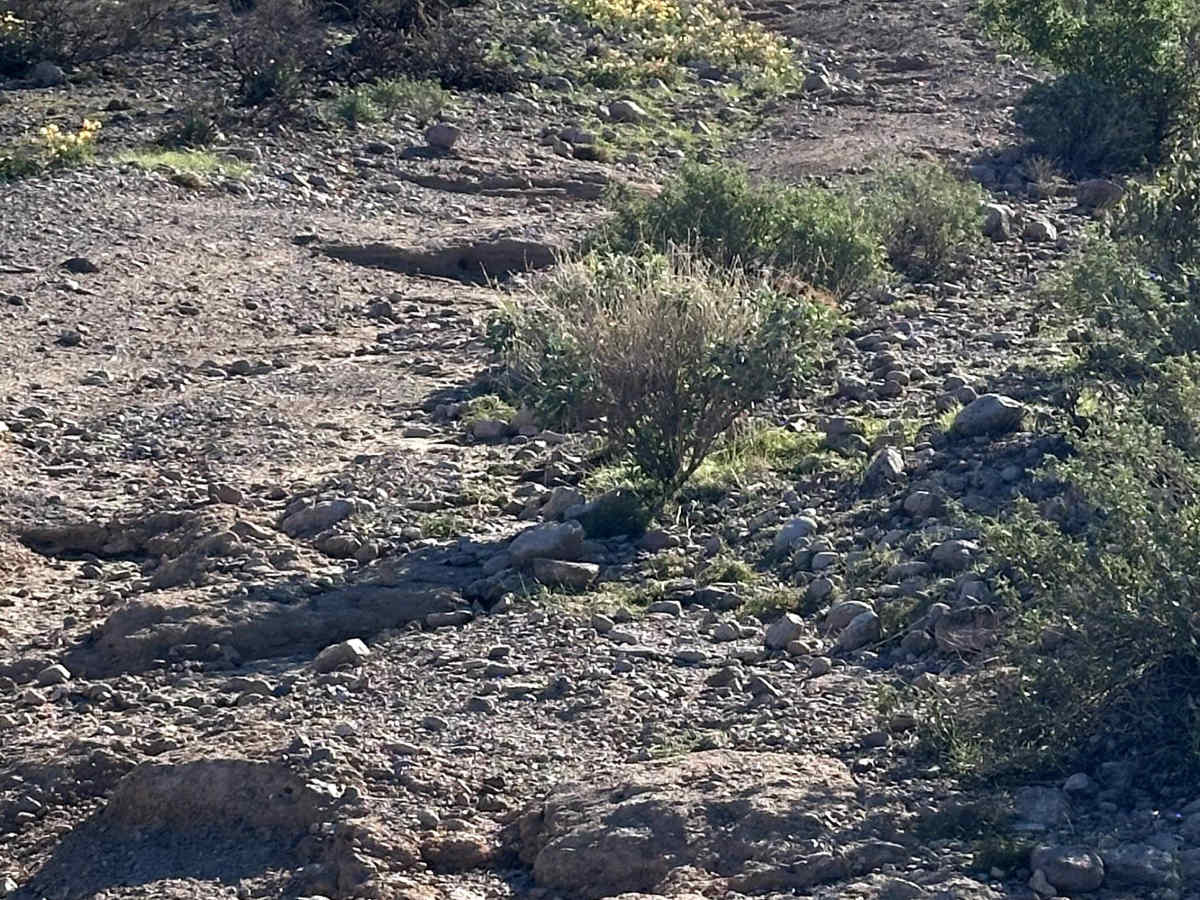 LU-MI Trail photo 3