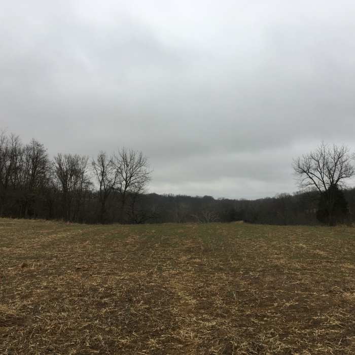 Near Battlefield Forest Creek Loop