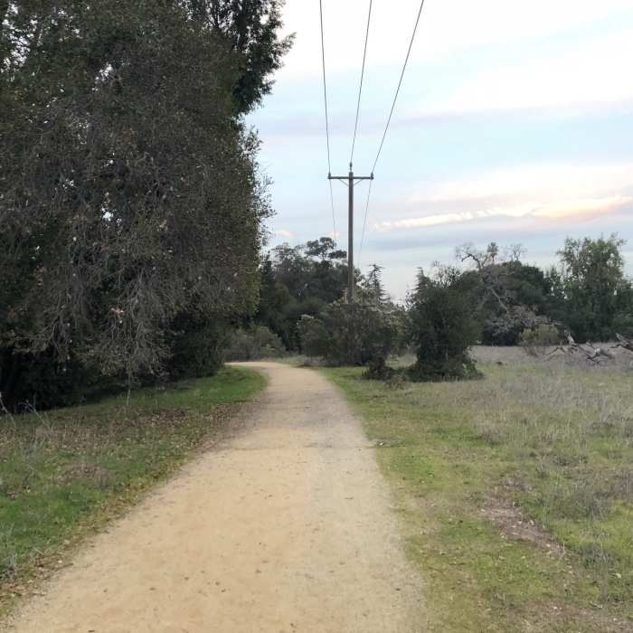 Near Coyote, Lower Meadow, and Permanente Creek Loop