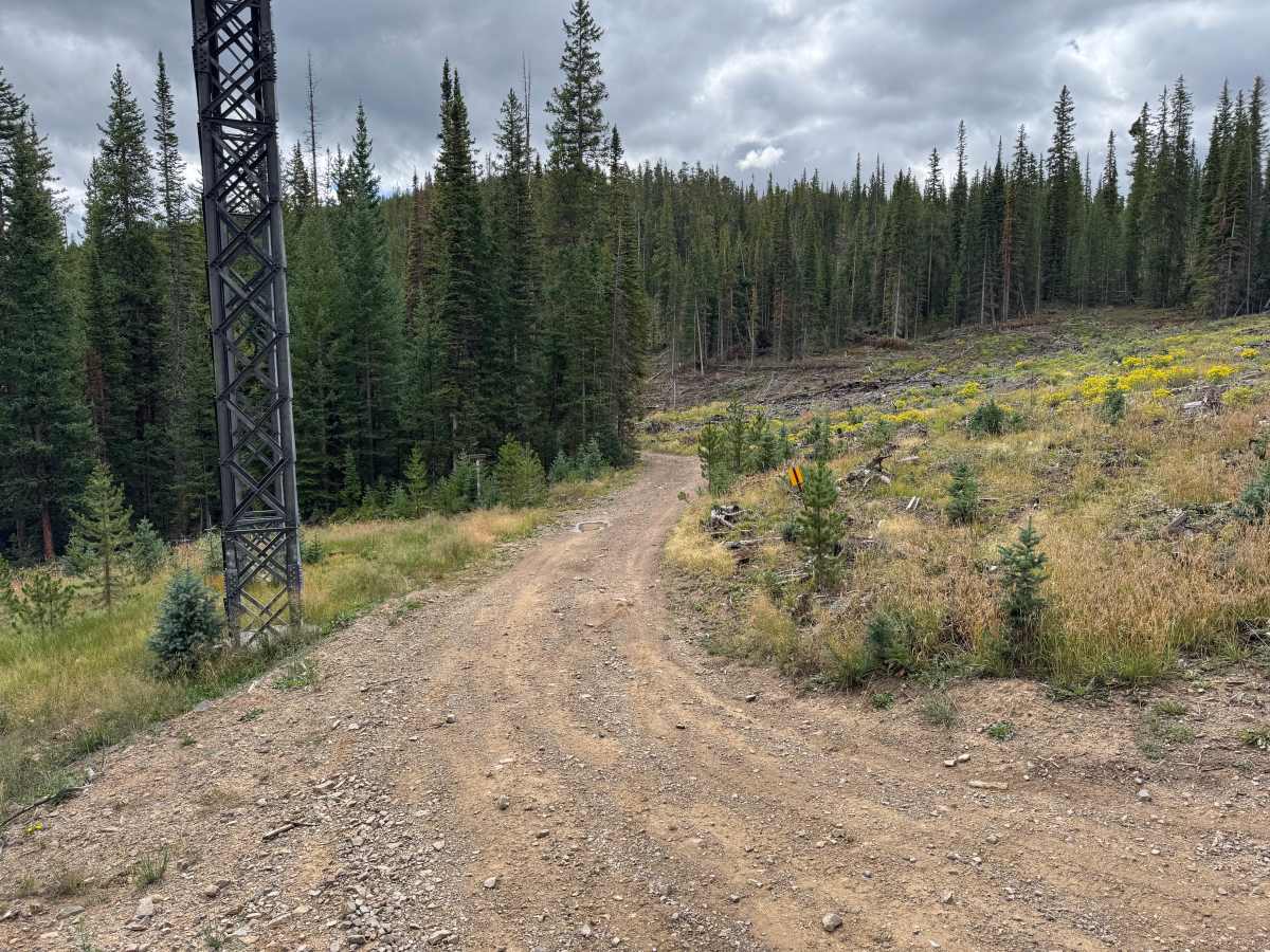 Draw Road trail photo