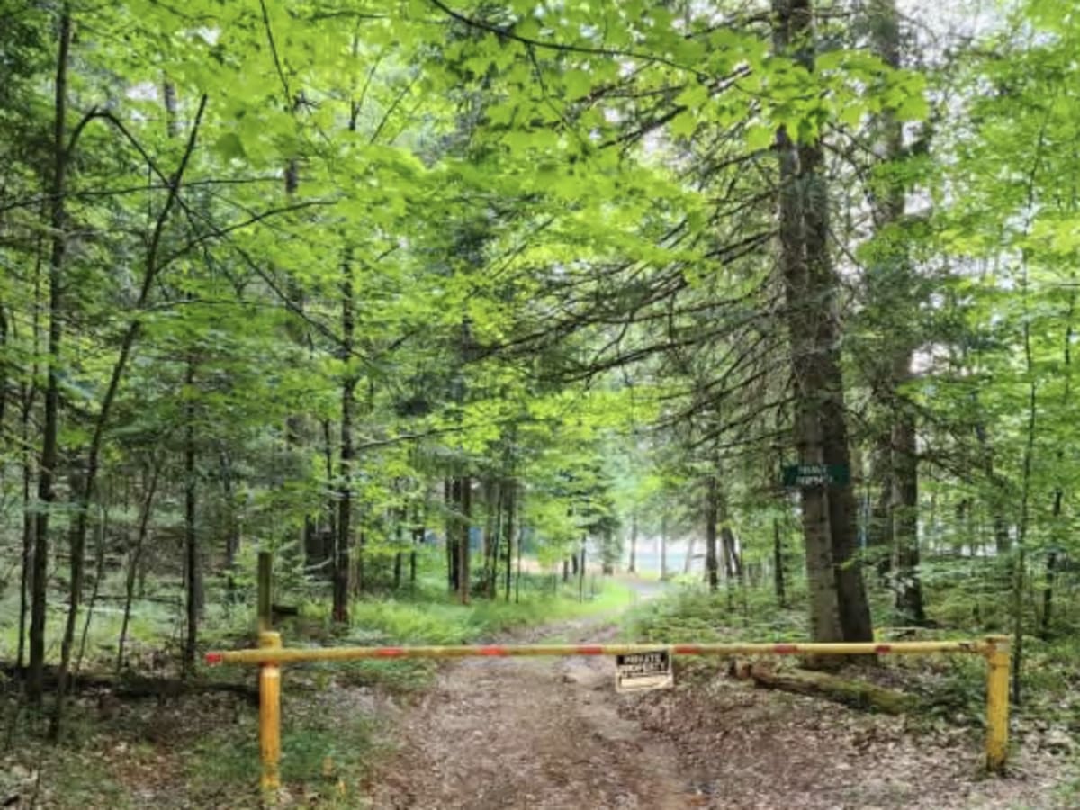 Cleveland Lake Road photo 4