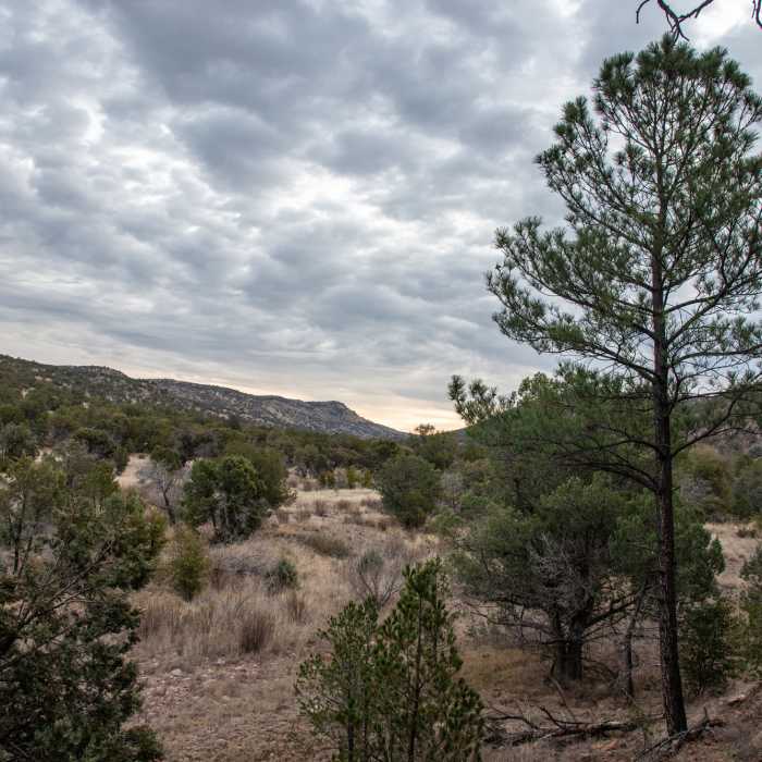 Near Madera Canyon Trail