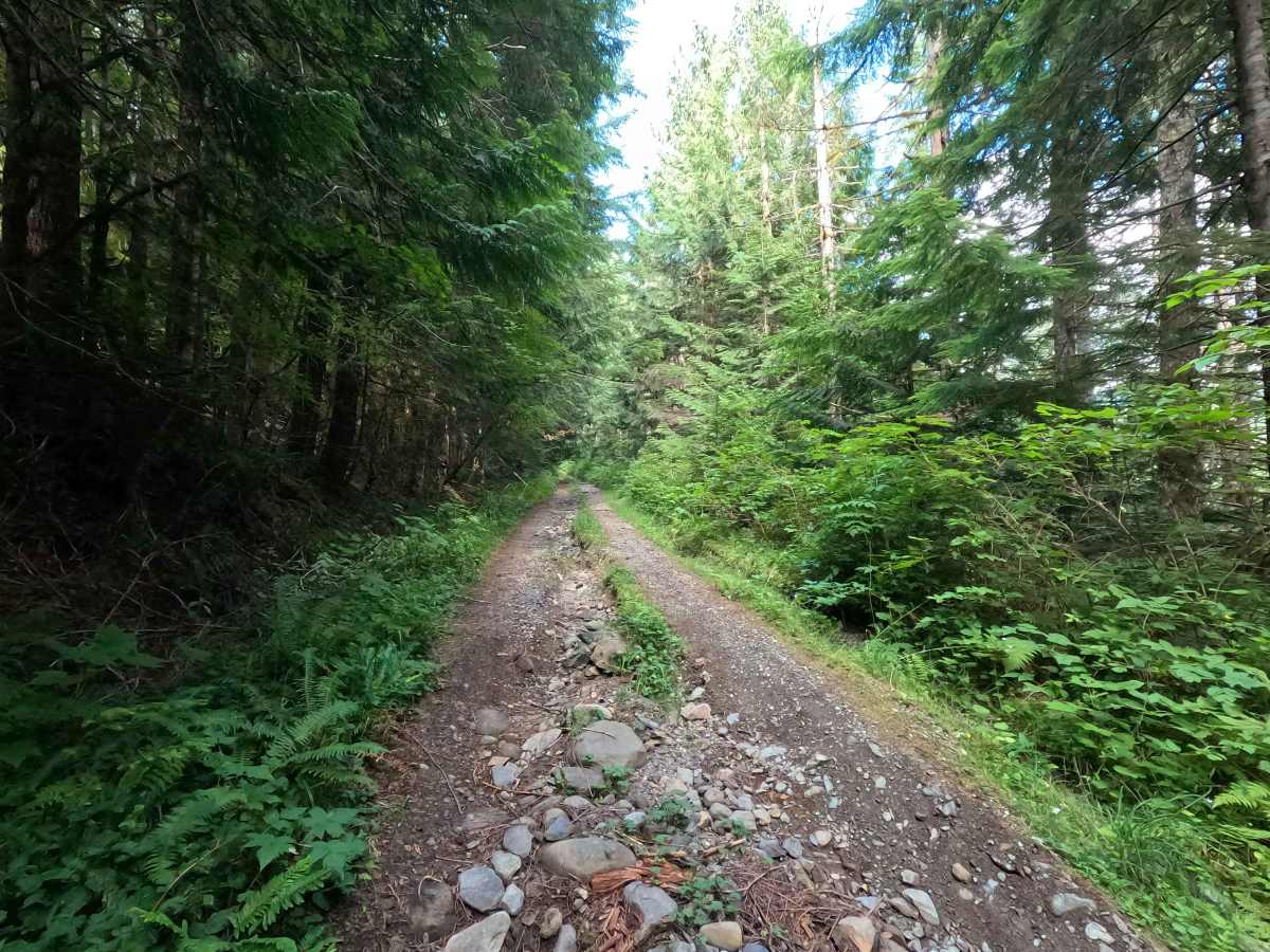 Sandy Creek - FS 1124 photo 3
