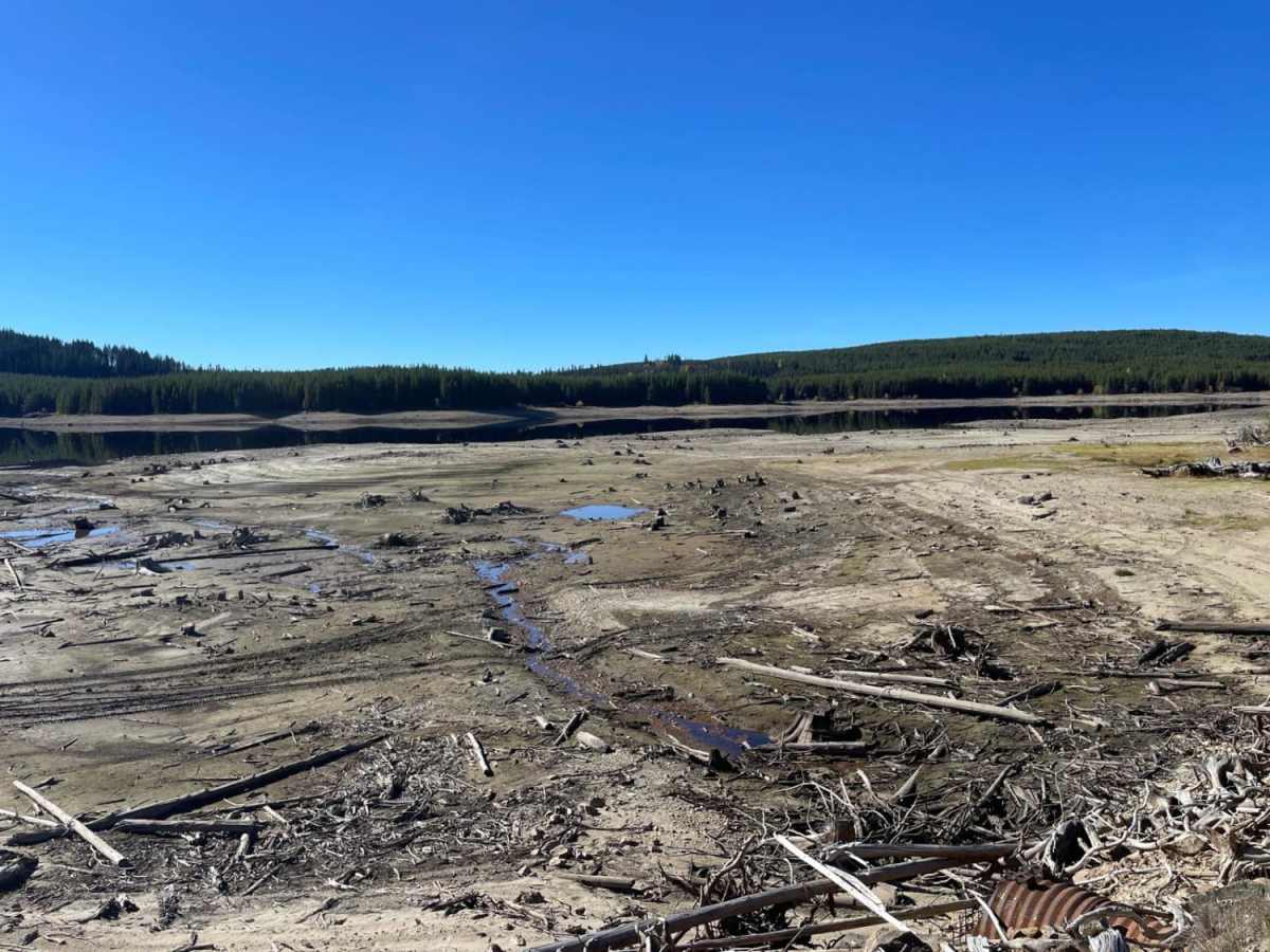 Aberdeen FSR to Ideal Lake photo 3