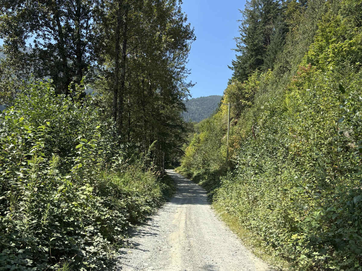 Ruby Forest Service Road photo 2