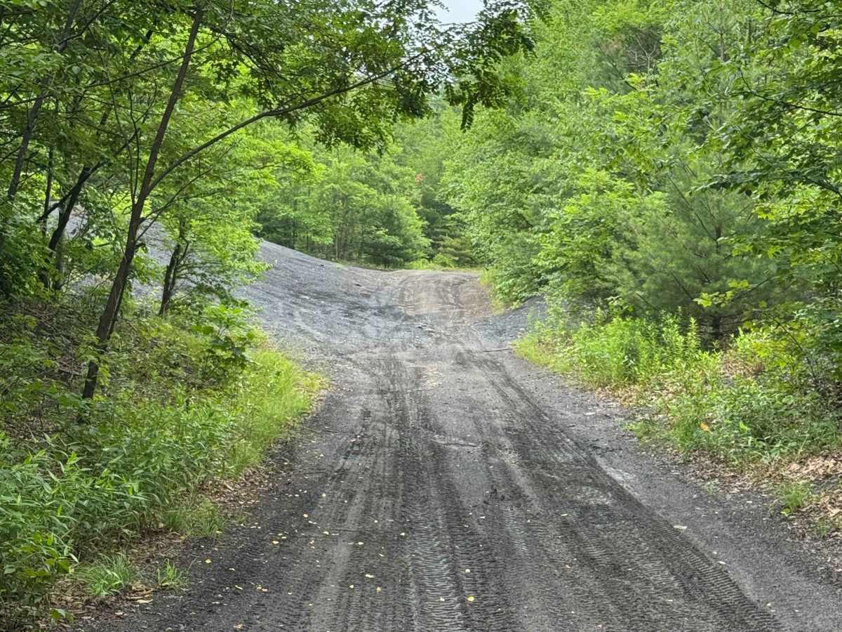 Trail 9 photo 3