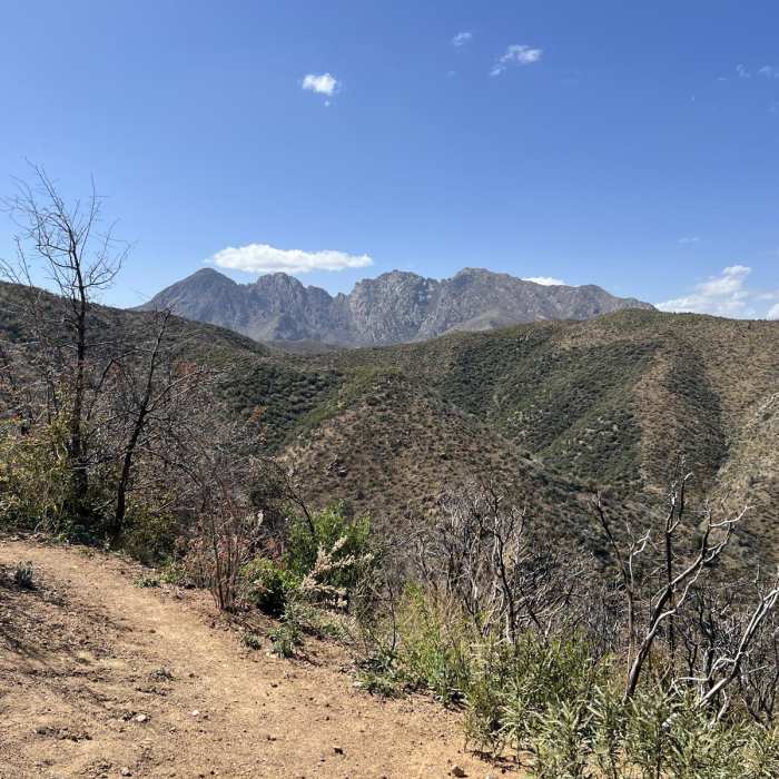 Near Arizona Trail Passage 20: Four Peaks