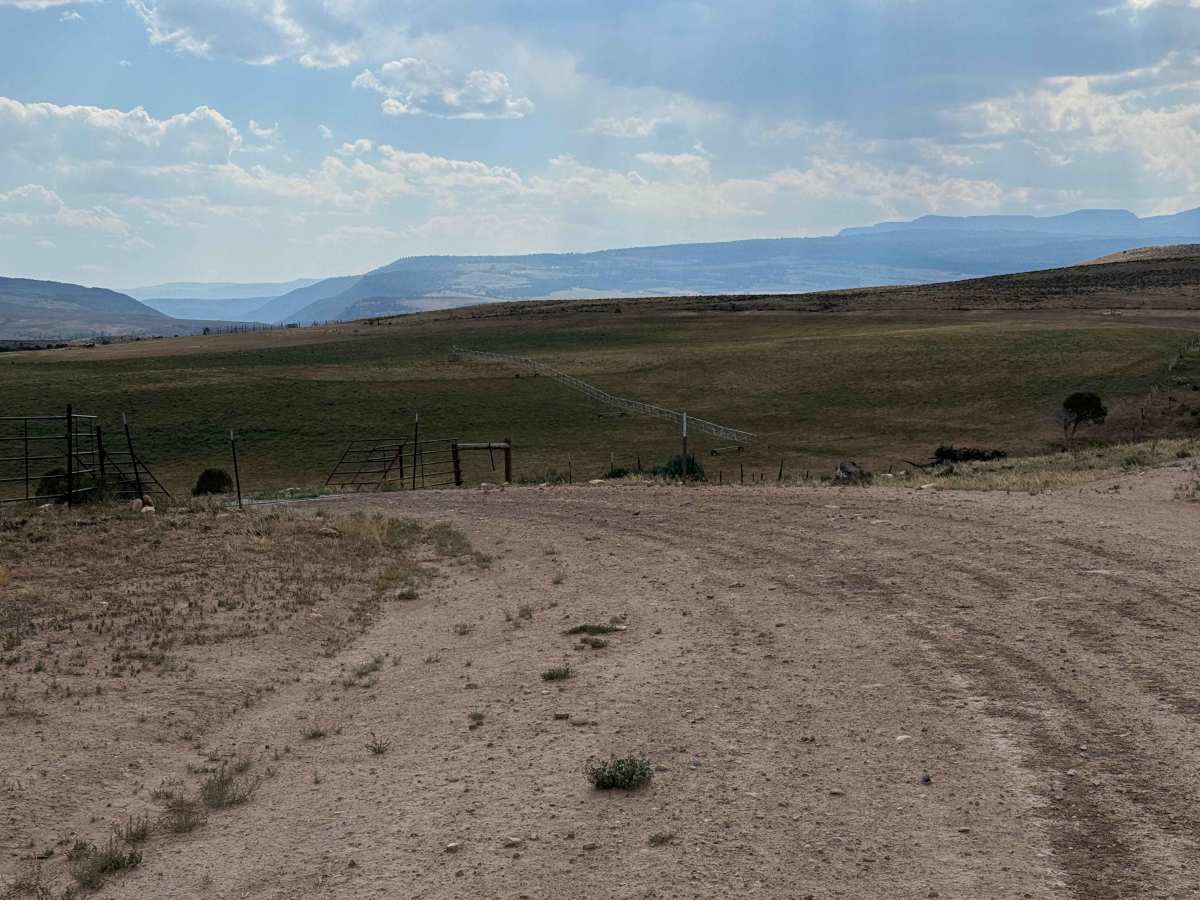 BLM 8569 photo 3