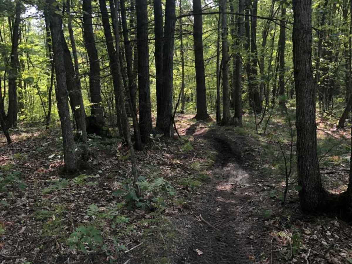 East Missaukee Trail Loop photo 5