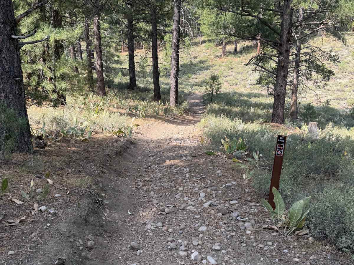 Dry Creek Trail photo 2