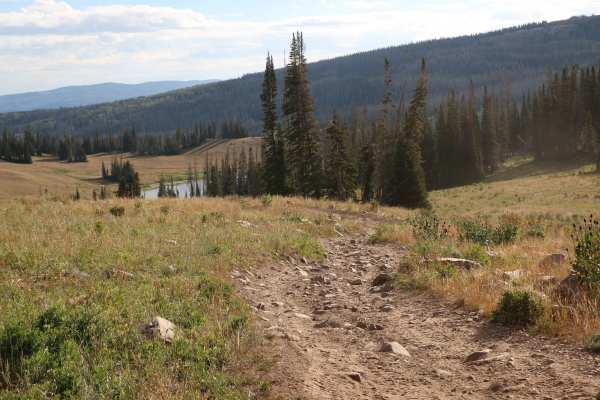 Moffit Pass - FS 80135