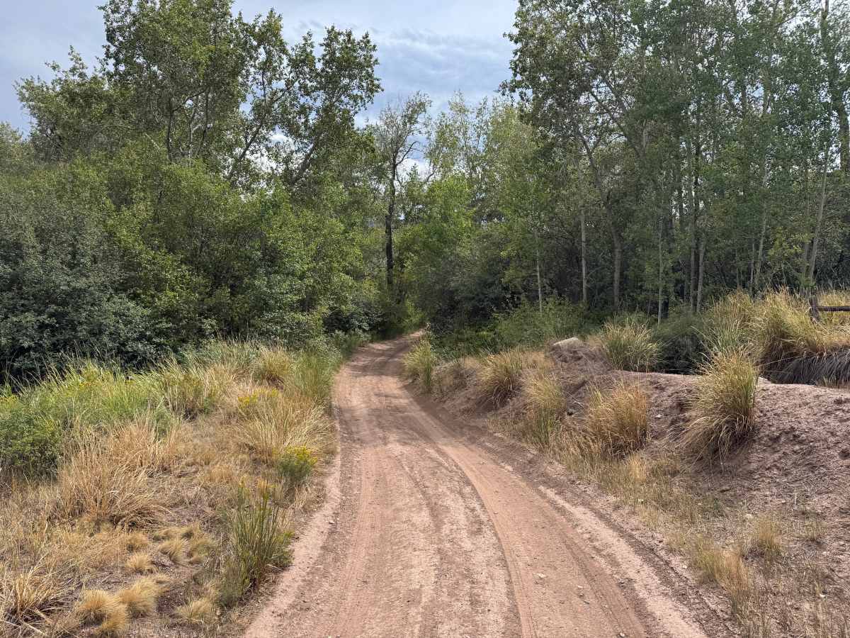 Berry Creek Road photo 4
