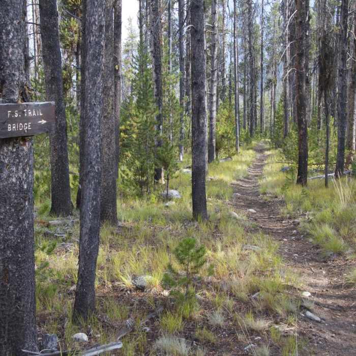 Near Middle Fork of the Salmon River Trail a Day 1