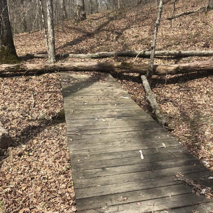 Timber across trail #1 at Dean lake. Near Route 666