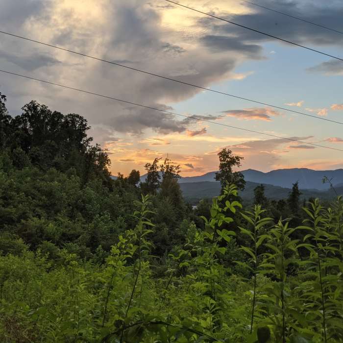 Near North Ridge Trail