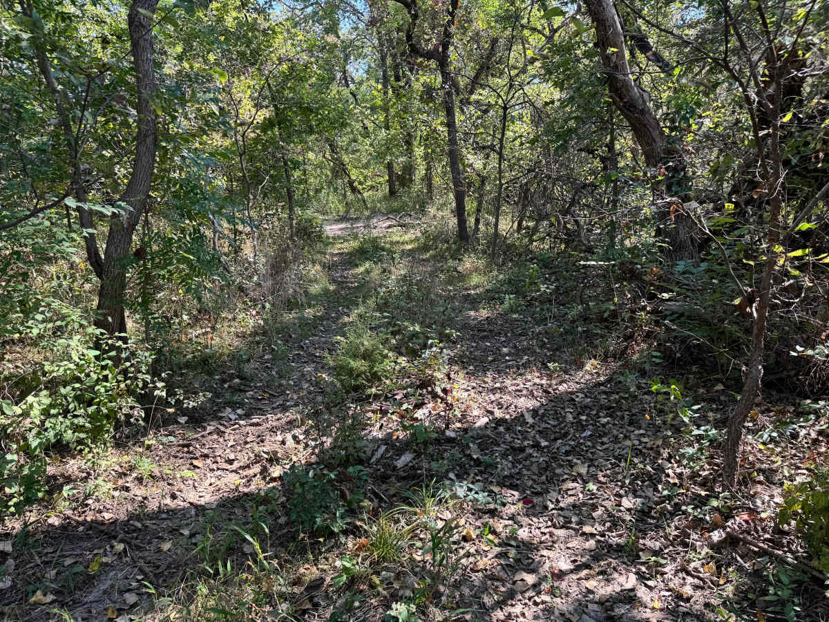 Head Gasket Hill photo 5