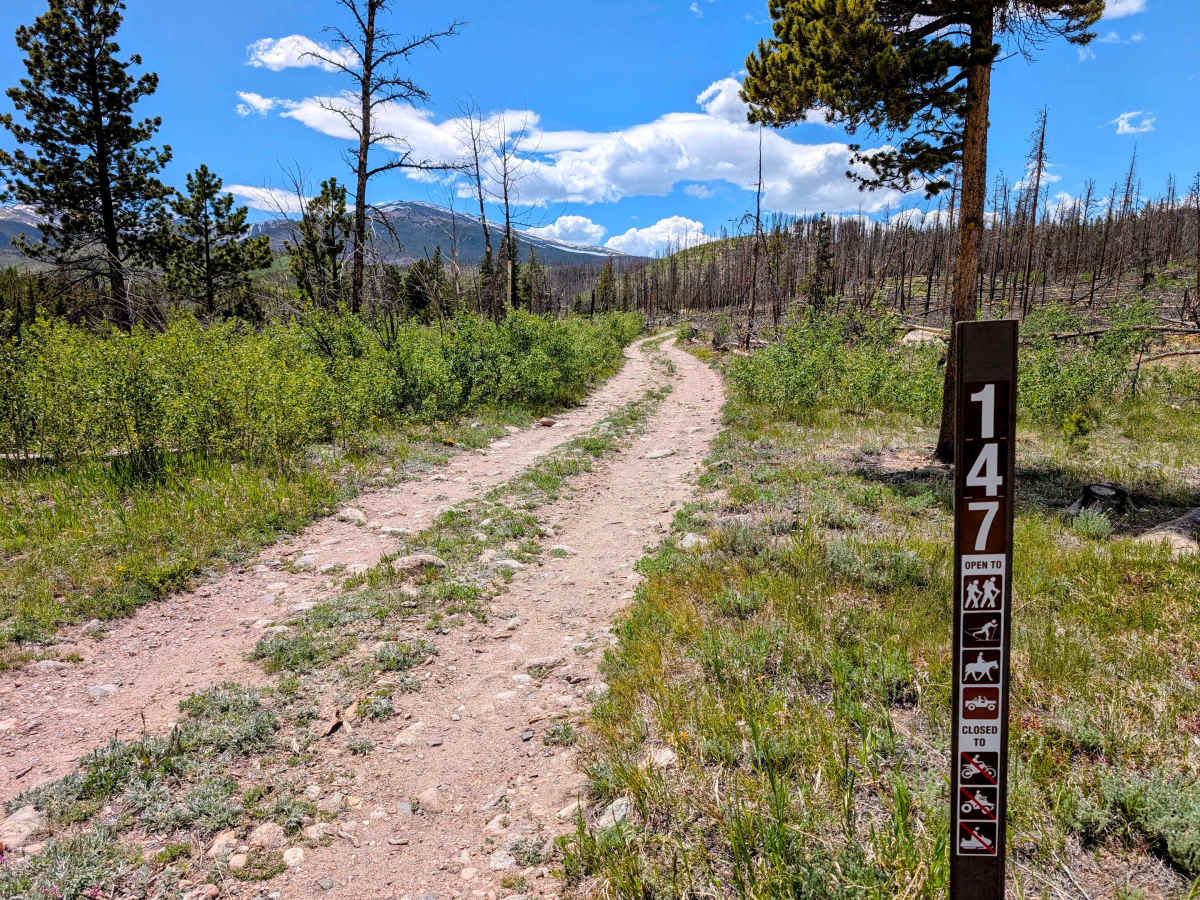 FS 147 trail photo