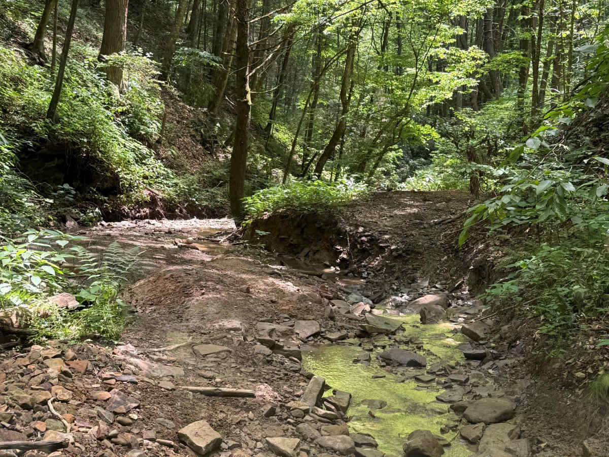 Mountain Fork photo 6