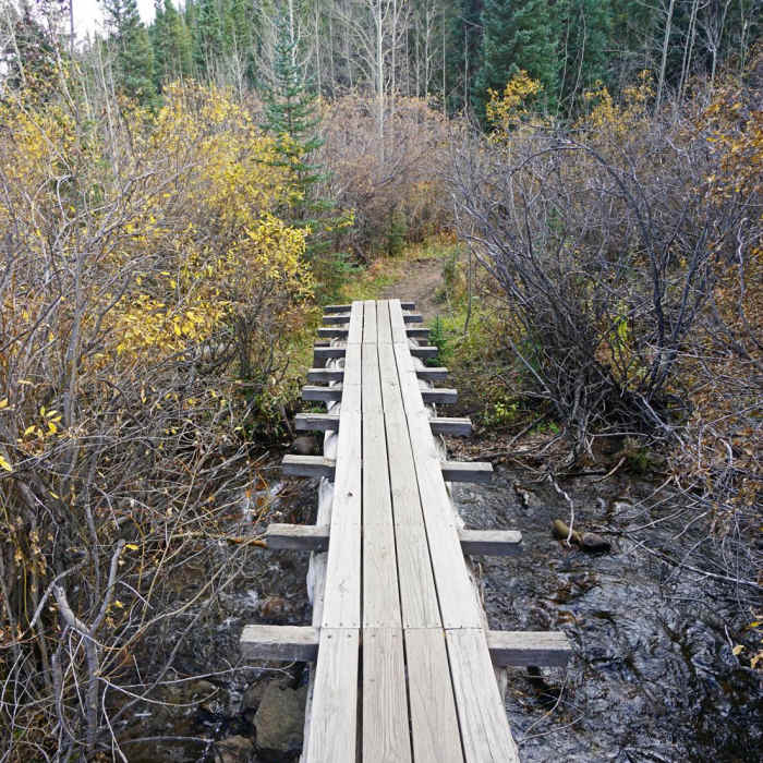 Near Buffalo Peaks Wilderness Loop