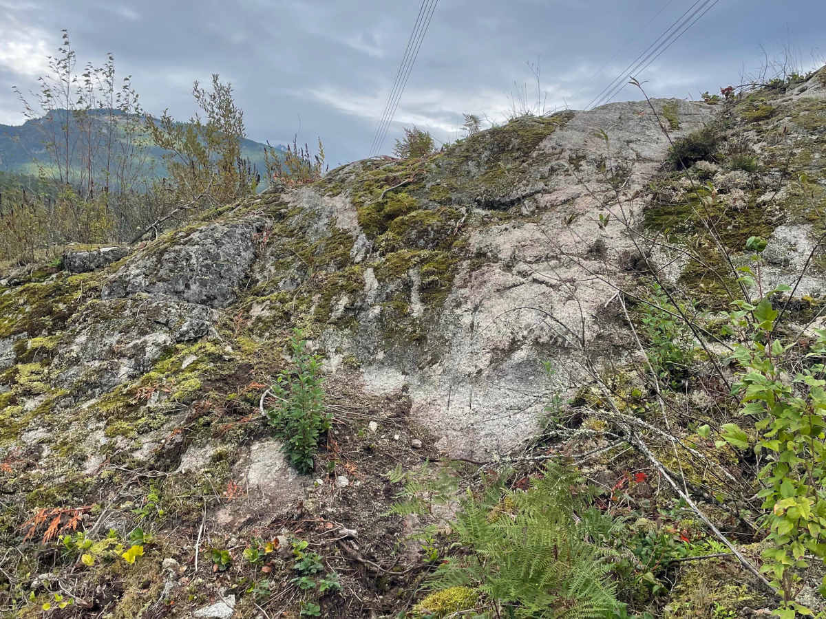 The Dab Lab trail photo