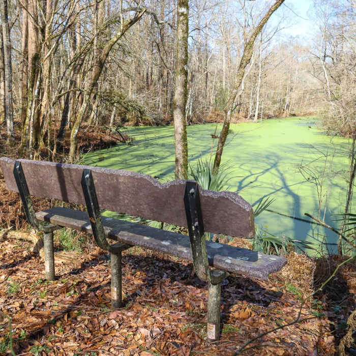 Near Indian Bayou Loop Near Indian Bayou Loop