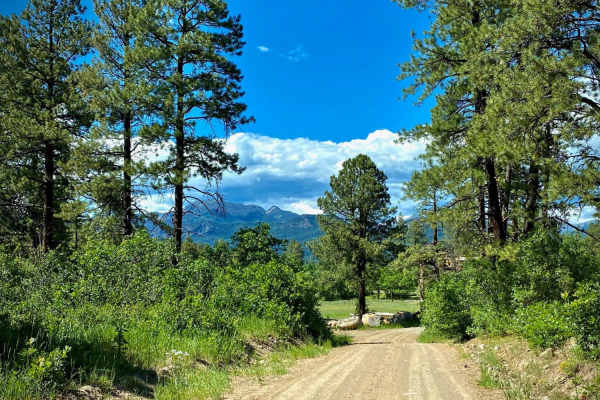 Fawn Gulch F-Fr Rd 666F
