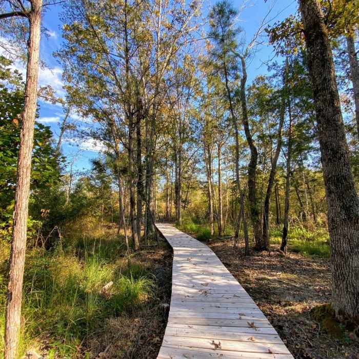 Boardwalks are mixed in through the wetlands. Near Cane Creek Mountains Full Tour