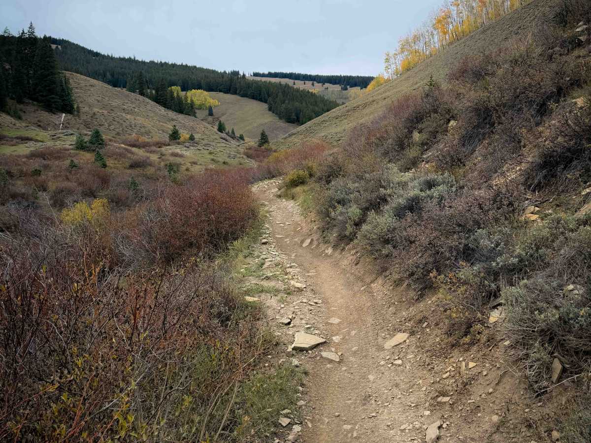 Deadman Gulch Trail - FS 420  photo 2