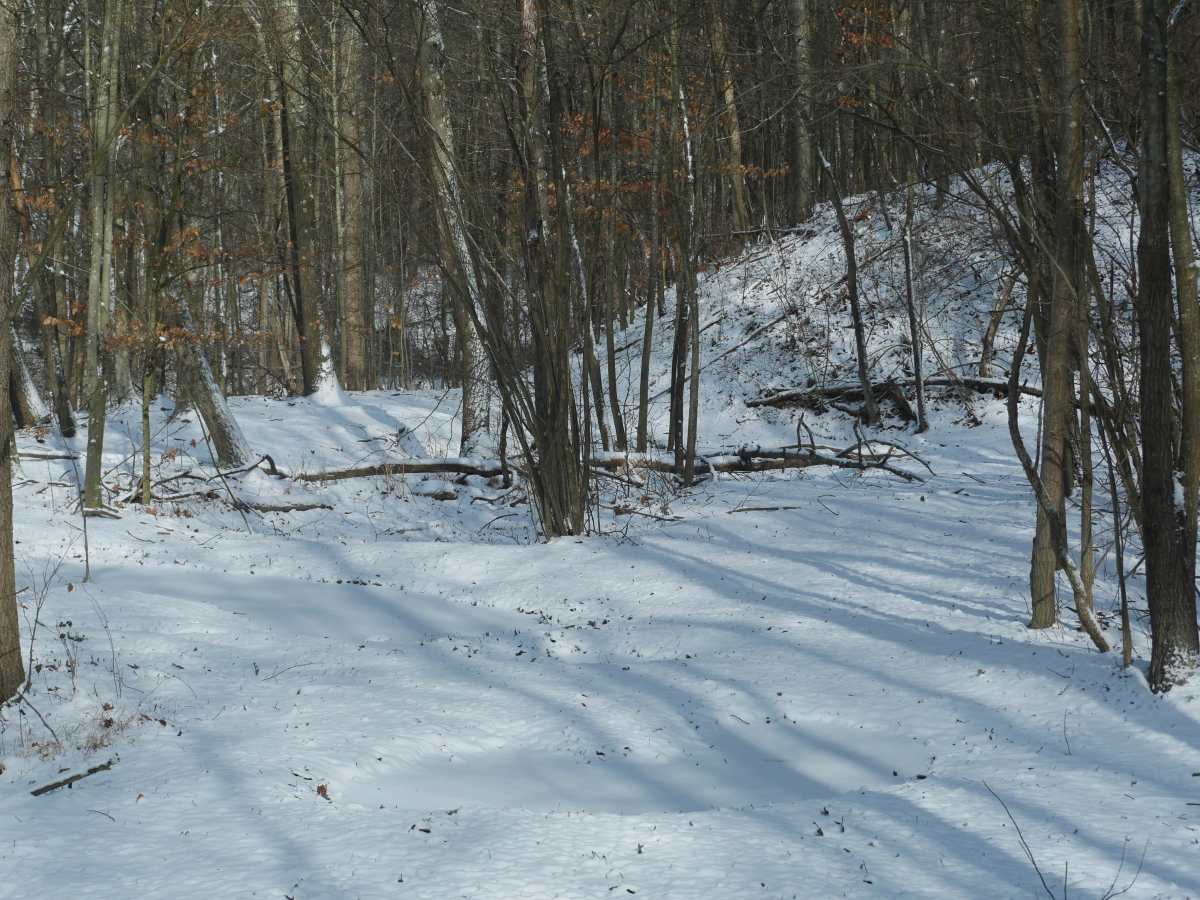 Trail 30  photo 2