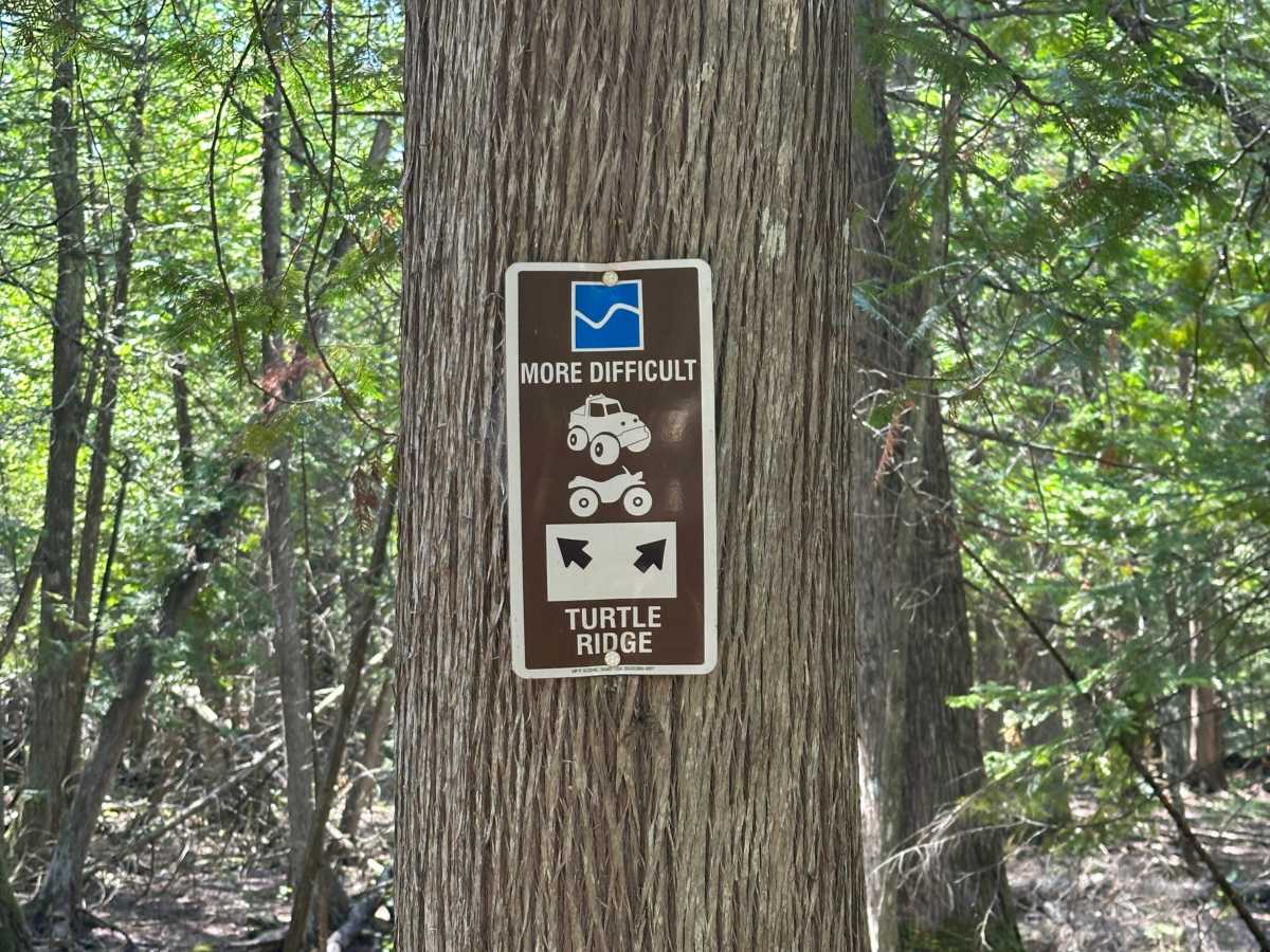 Deer Stand Cutover  trail photo