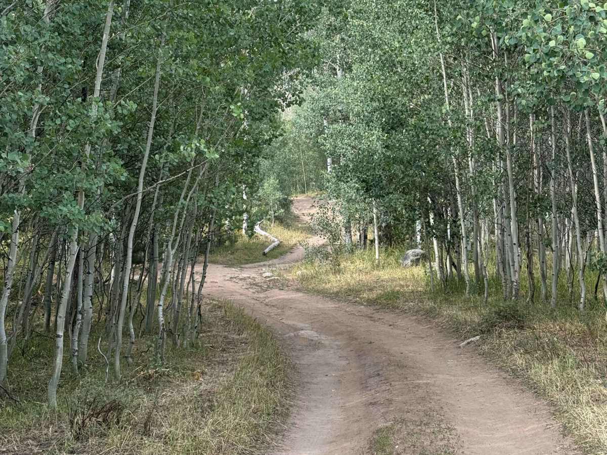 Hinman Lake Road photo 5