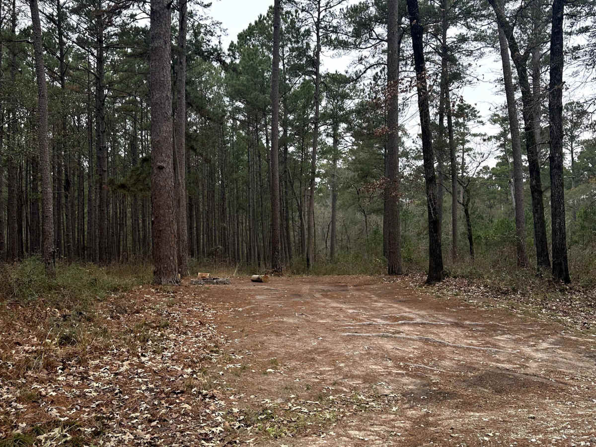 FS 208H photo 3