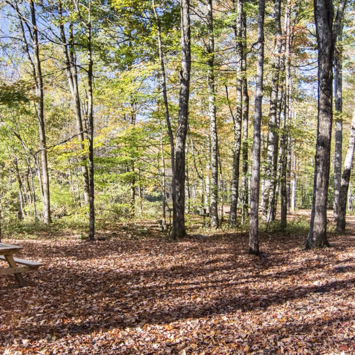 Near Wittenberg + Cornell Mountains