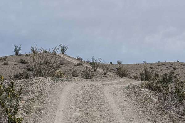 Goat Trail
