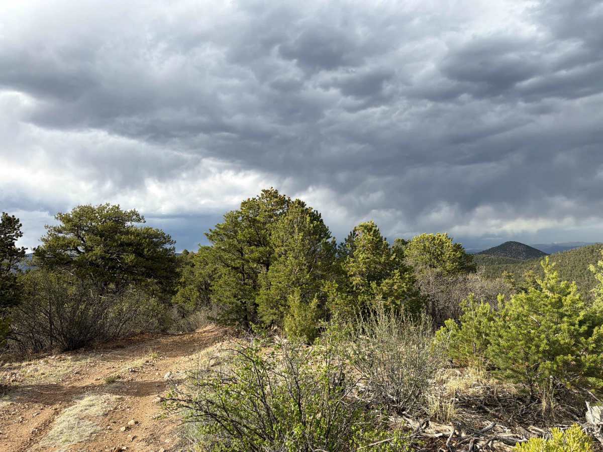 BLM 6170B photo 4