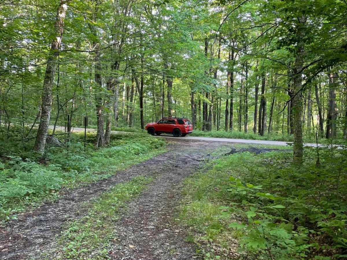 Old Job Rd Trail photo 4