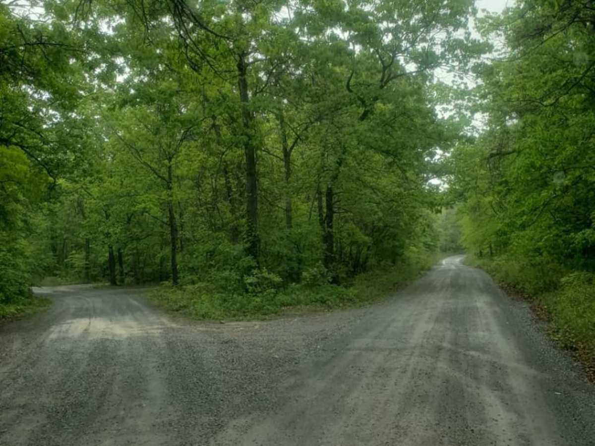 Coal Road photo 6
