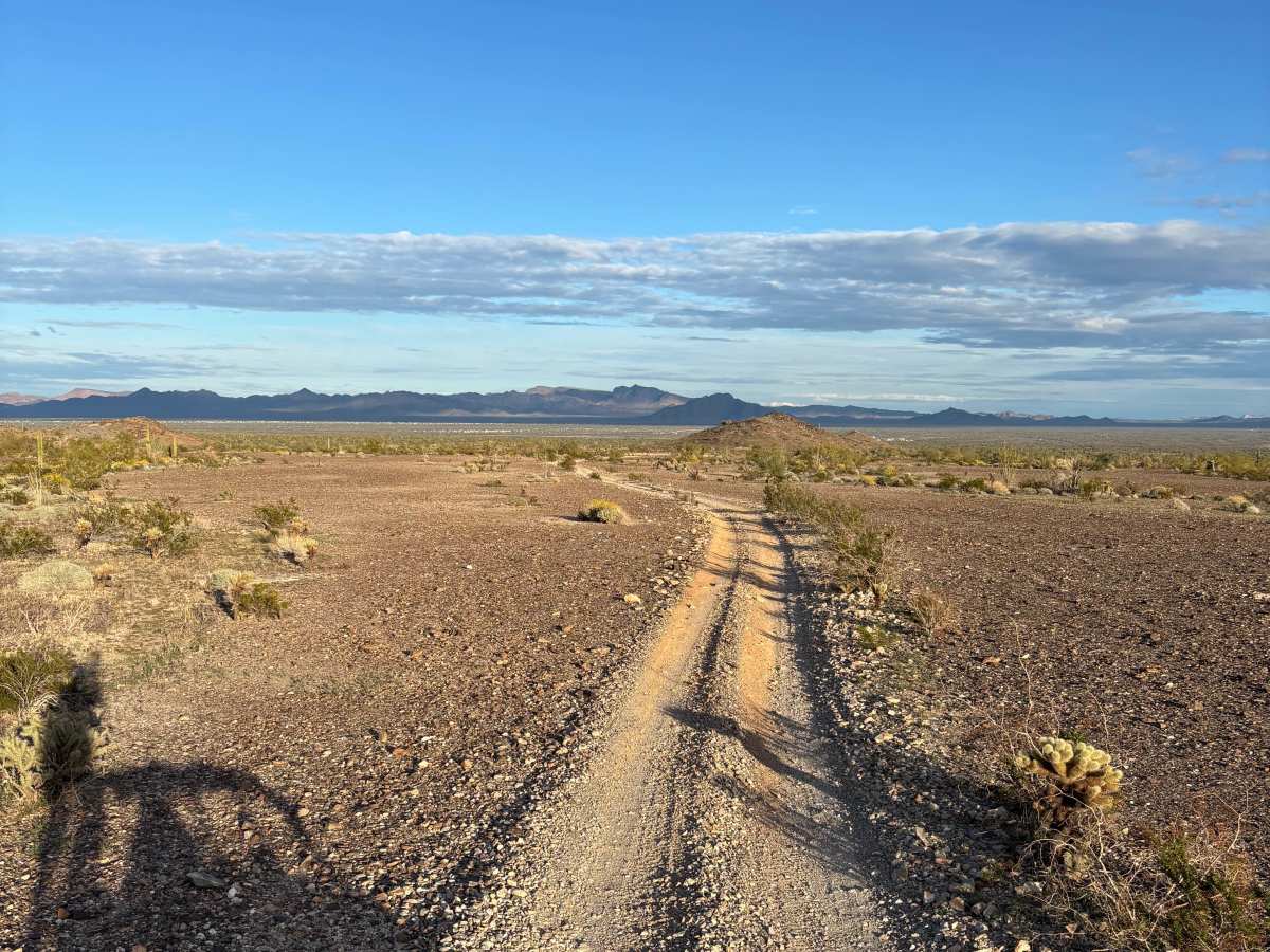 KOFA View photo 2