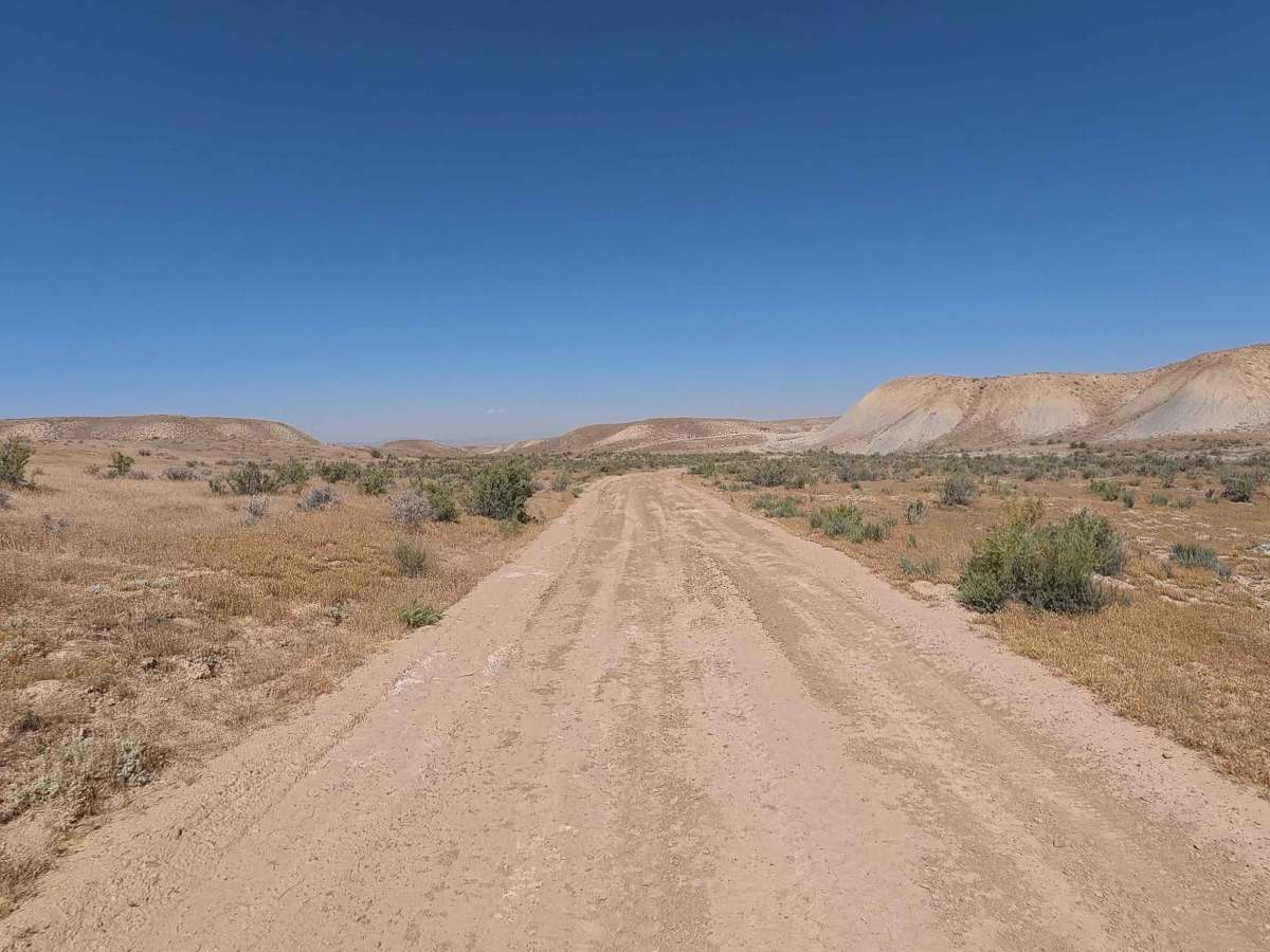 BLM 194 photo 5