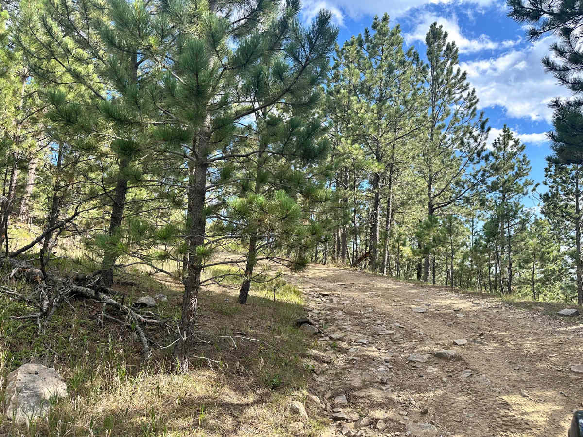 Cicero Peak Road photo 4