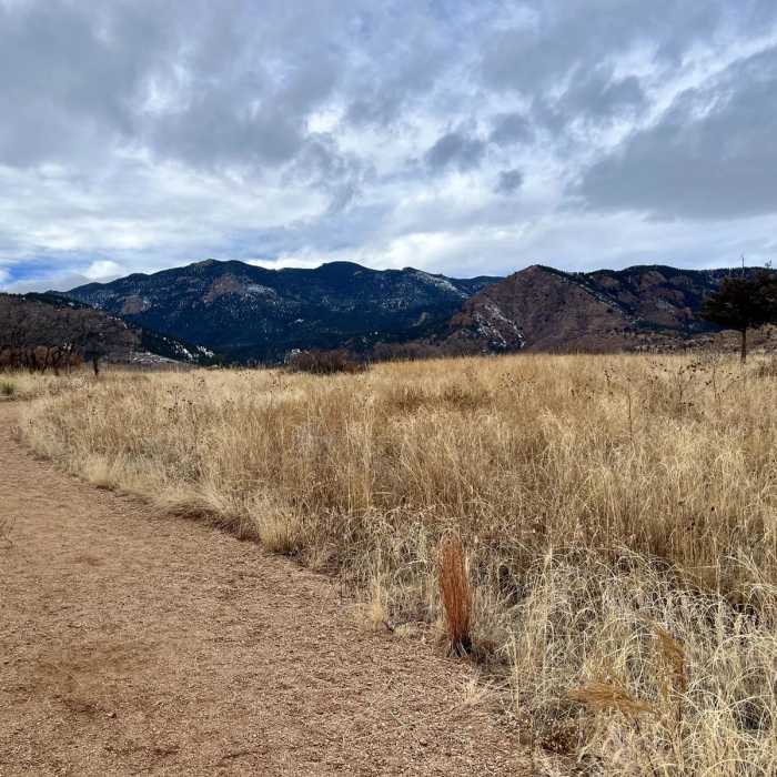 Near Bear Creek, Mountain Scrub, and Yellow Jacket Loop